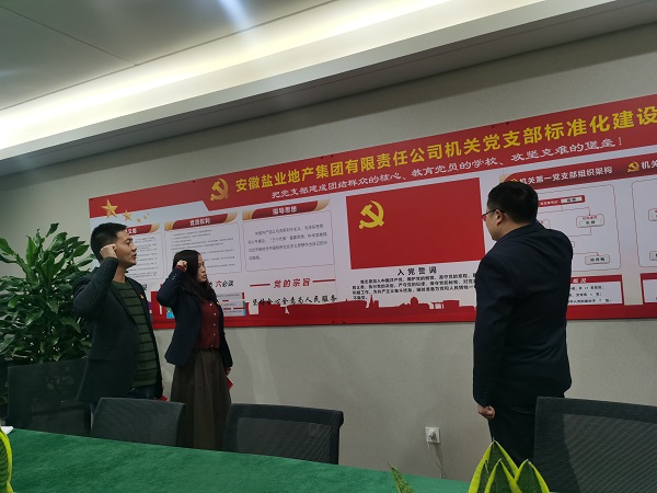 安徽鹽業(yè)地產(chǎn)集團(tuán)機(jī)關(guān)第一黨支部開(kāi)展“佩黨徽、誦誓詞、贈(zèng)黨章、上黨課”黨員教育活動(dòng)