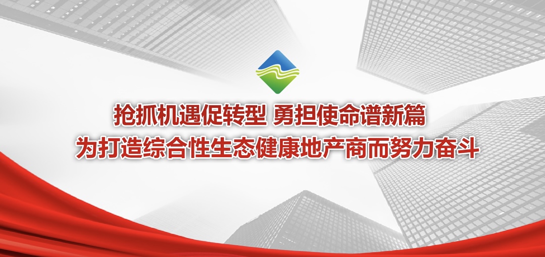 一圖讀懂省城市更新等三家公司2024年度工作會議報告